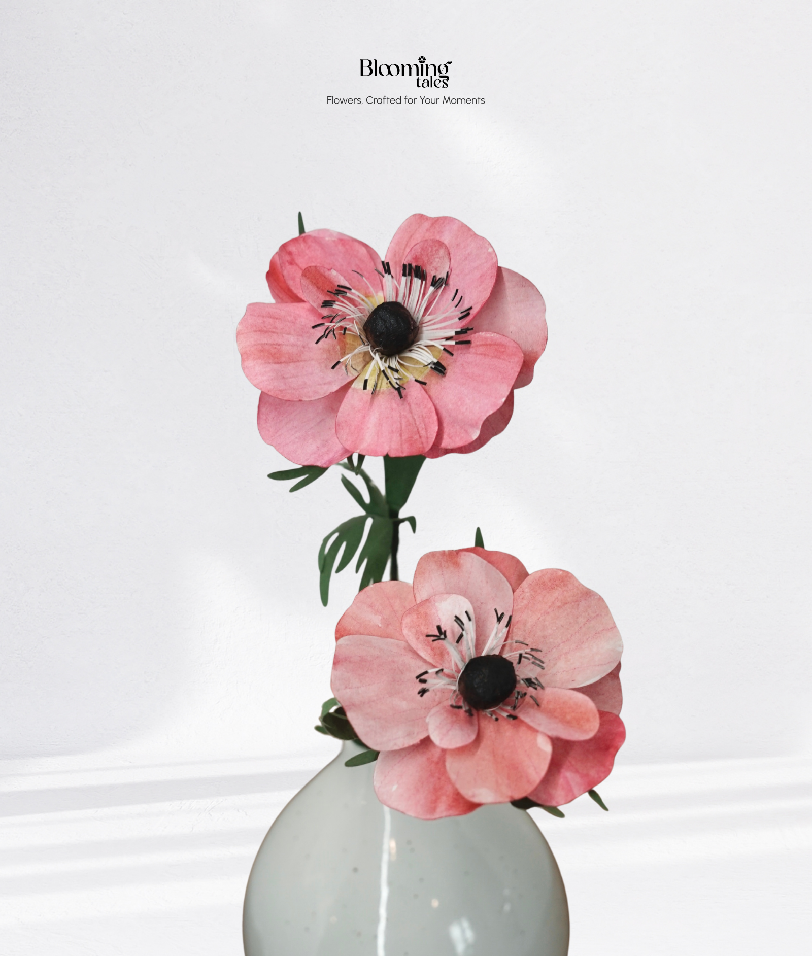 Anemone