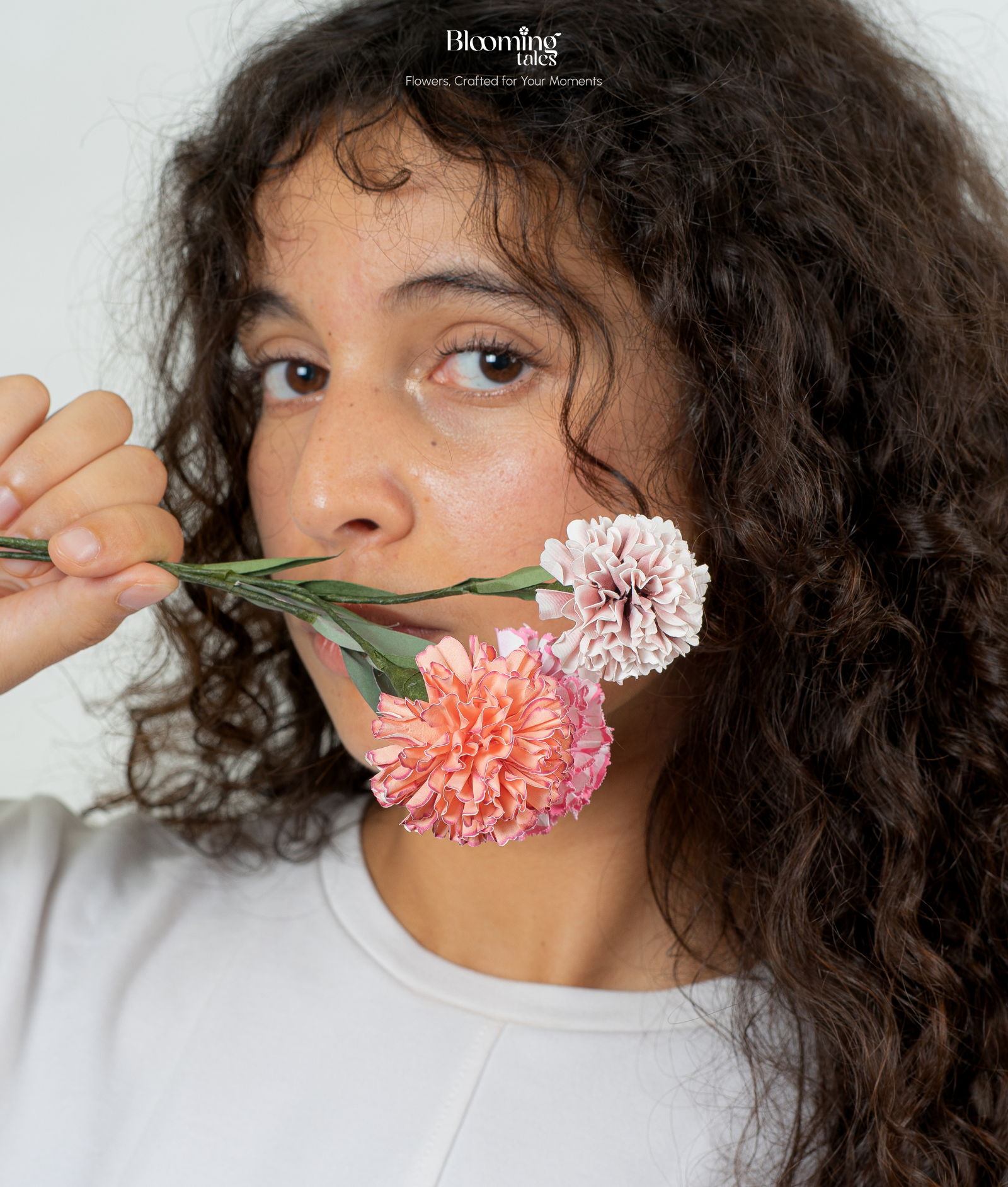 Carnation