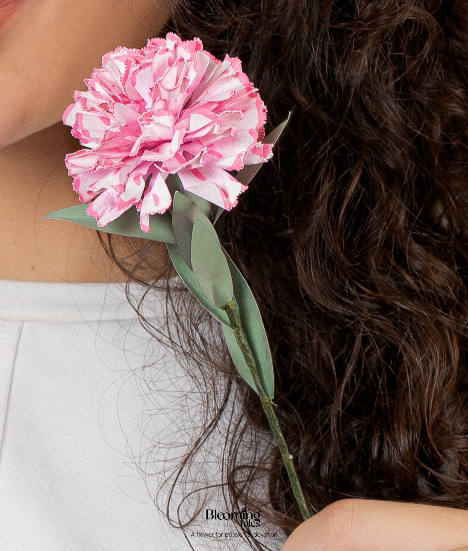 Carnation