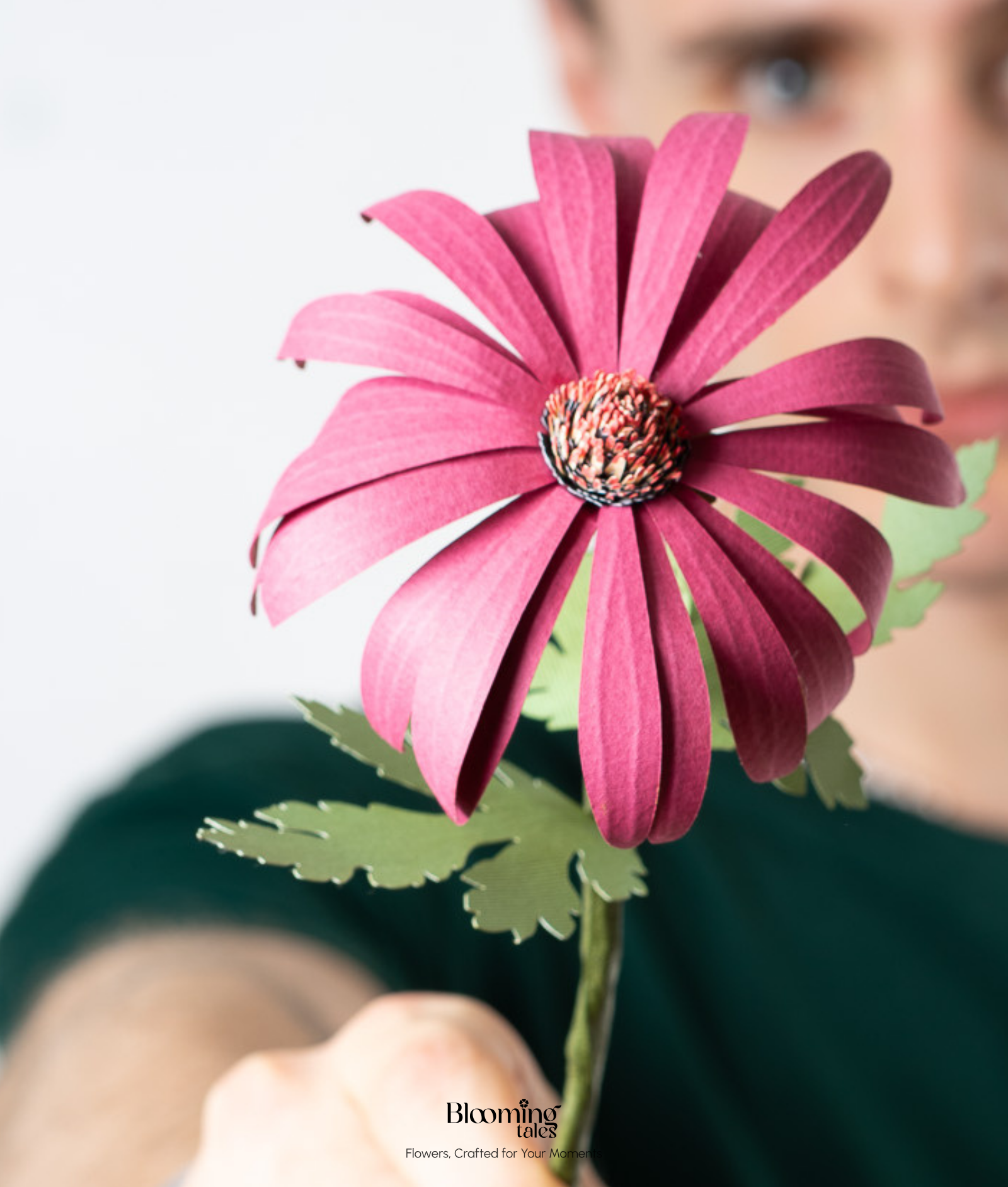 Coneflower