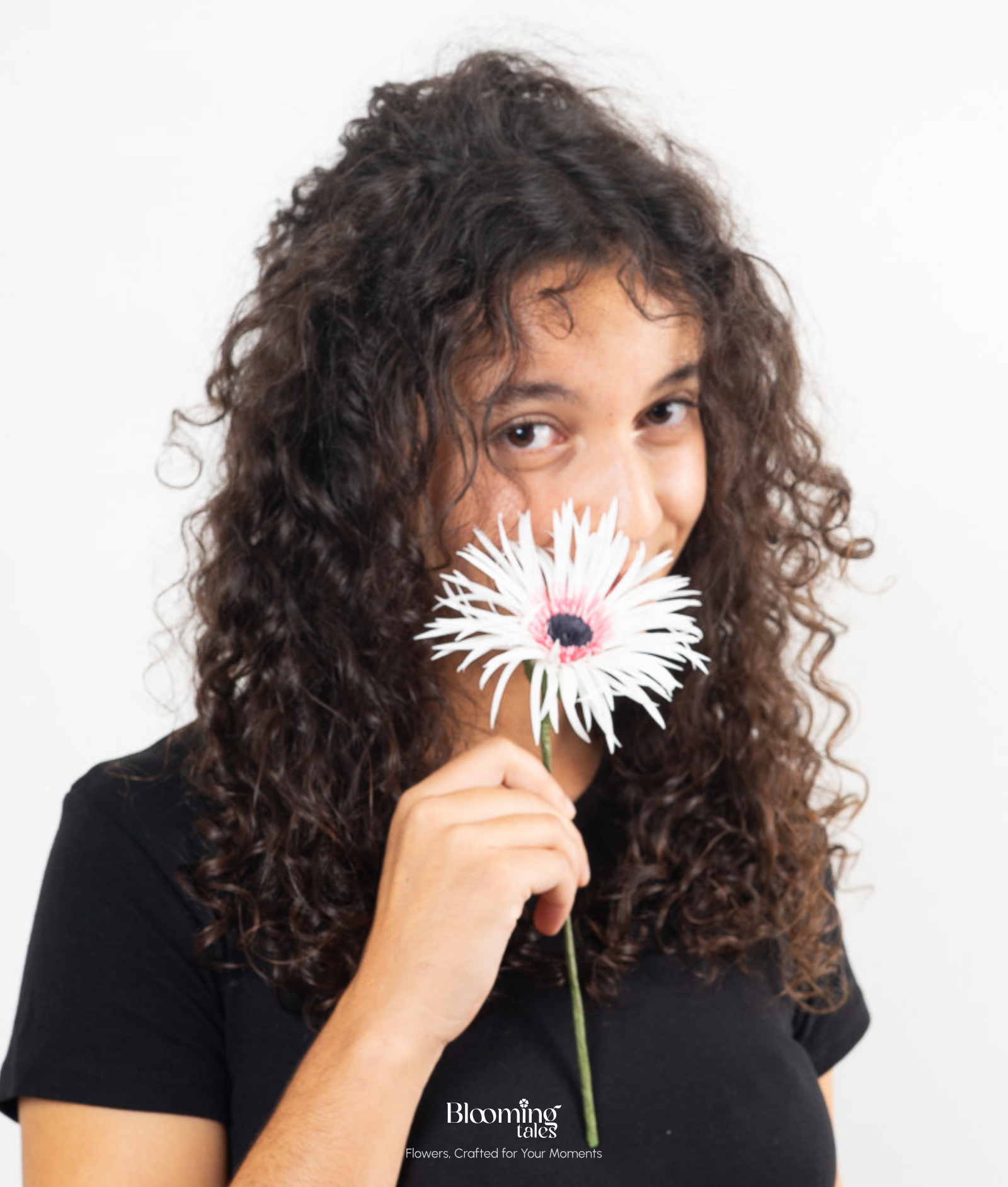 Spider Gerbera