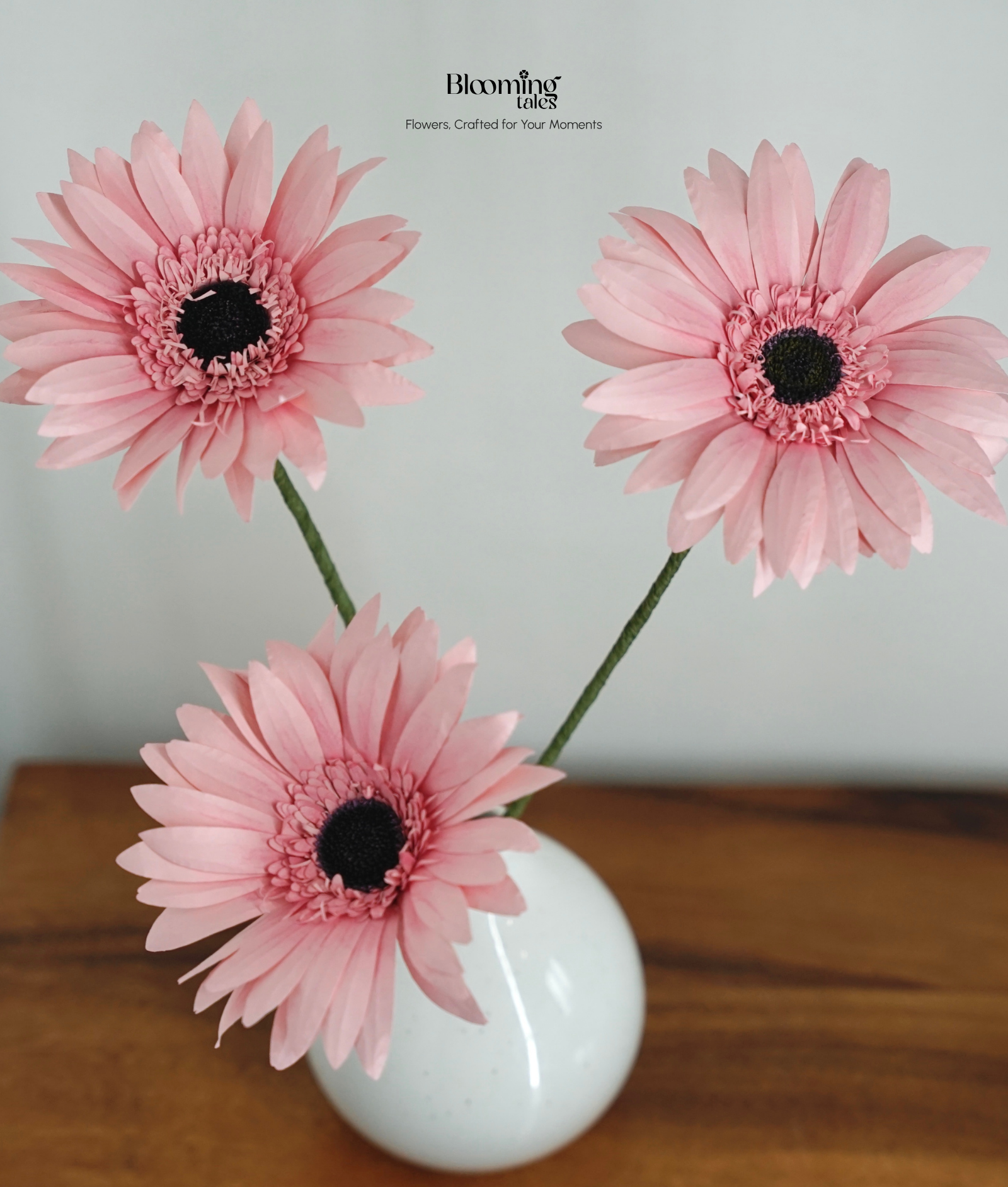 Gerbera Daisy
