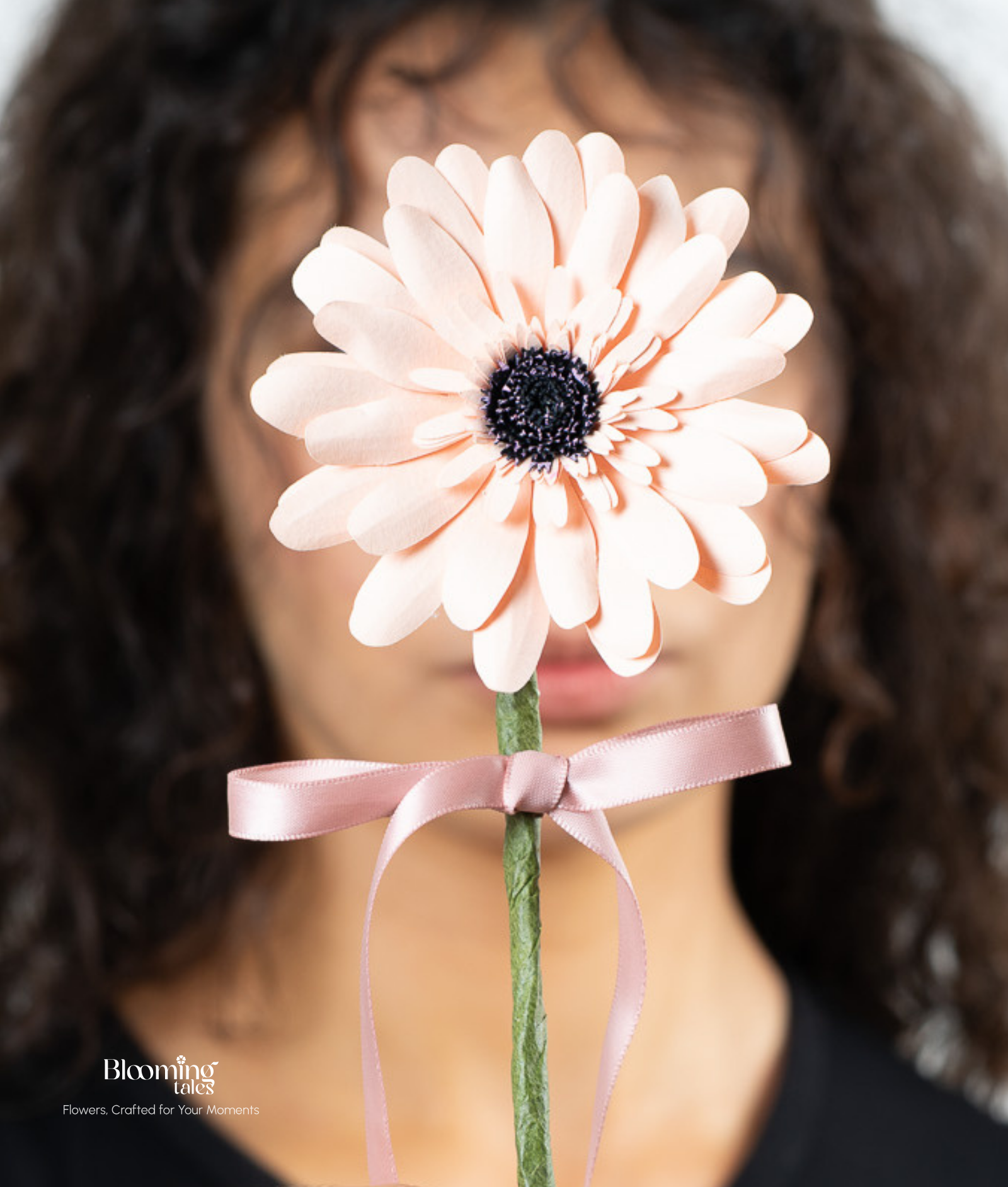 Gerbera Daisy