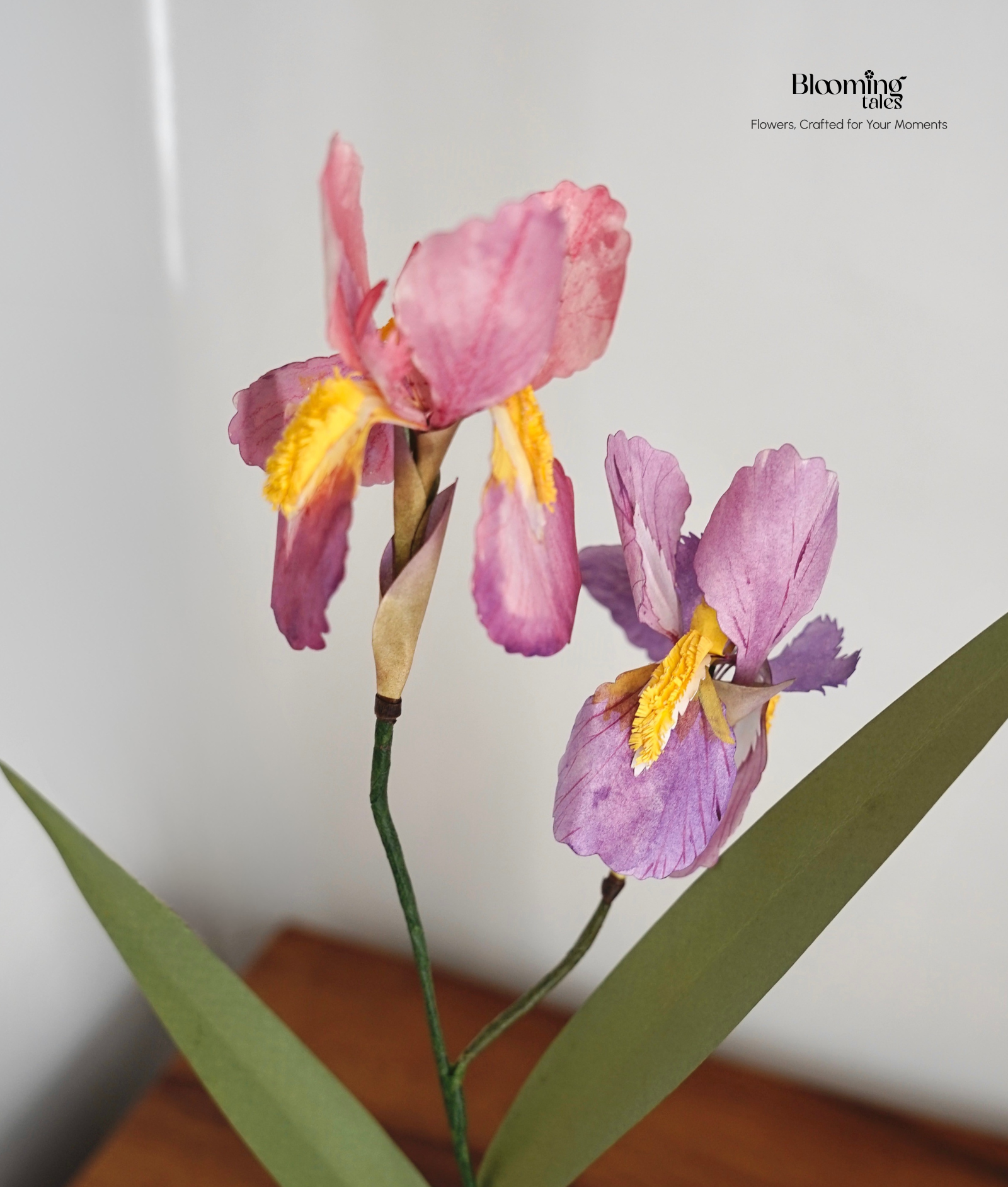 Iris