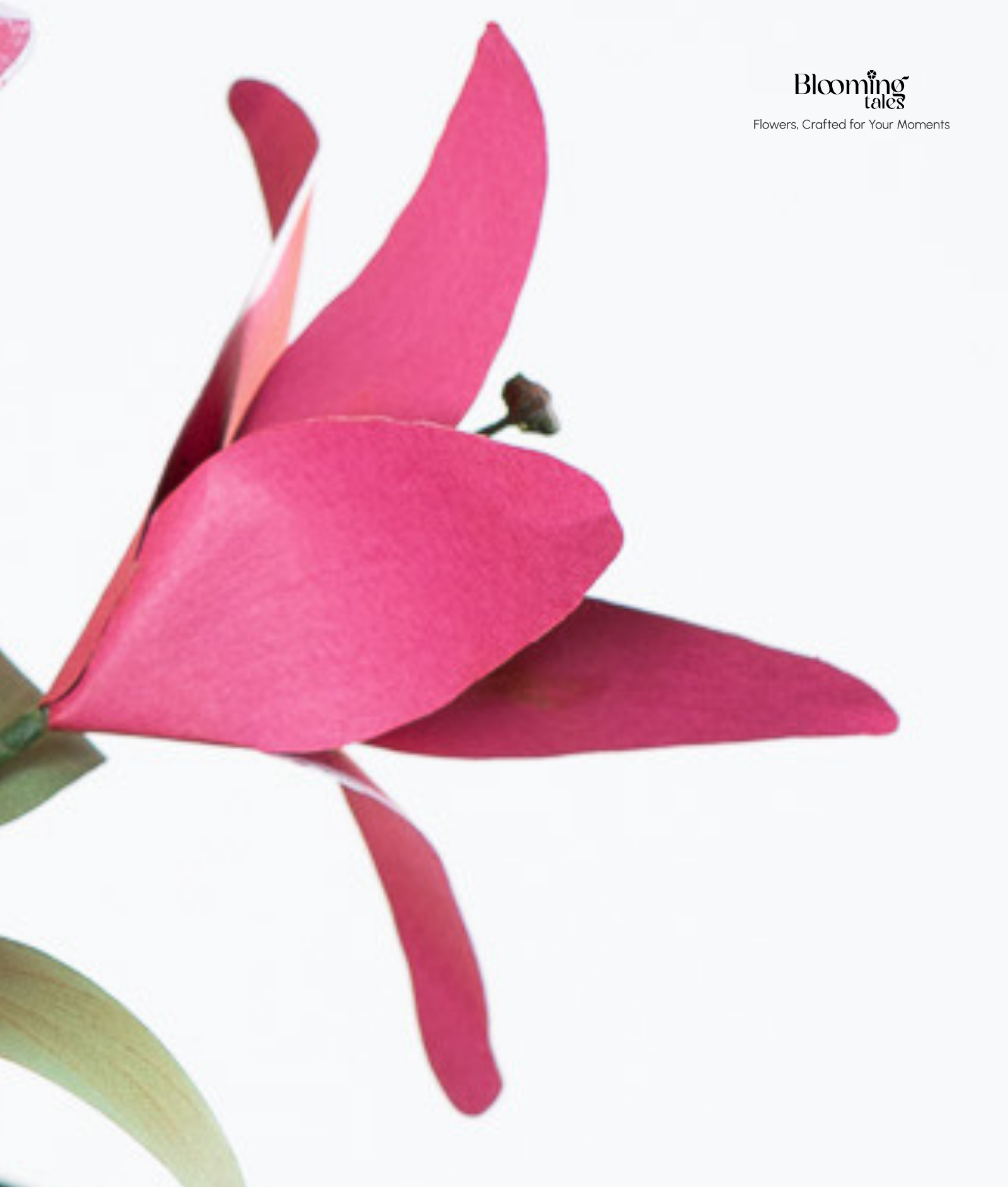 Lily