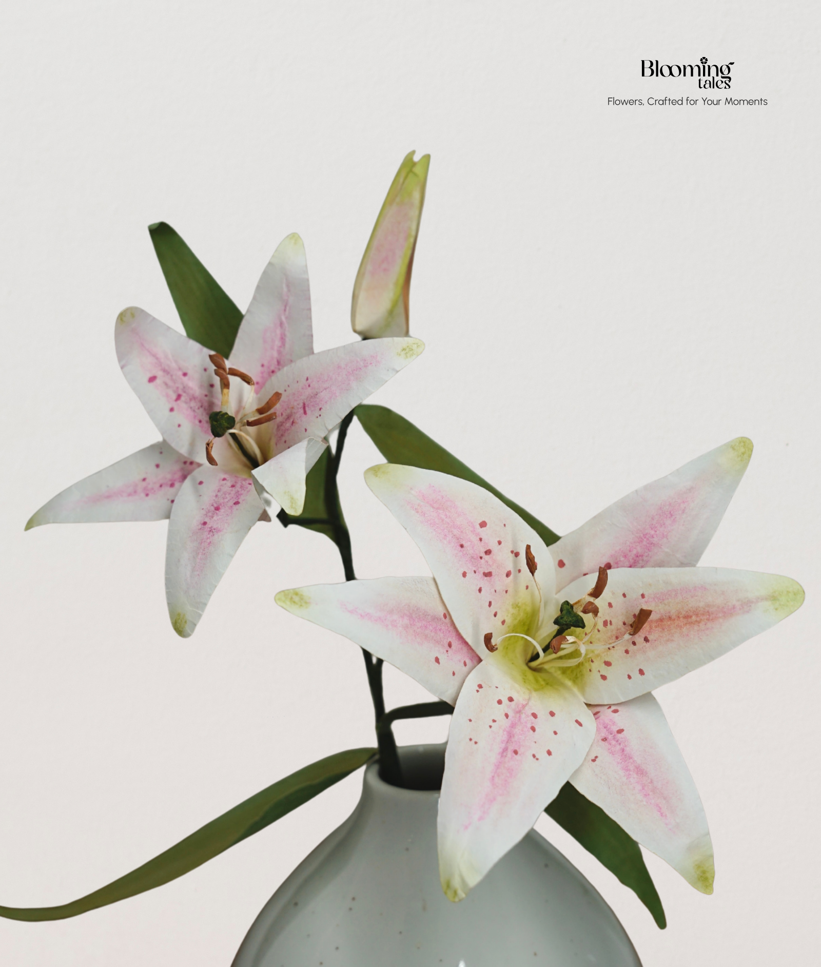 Lily