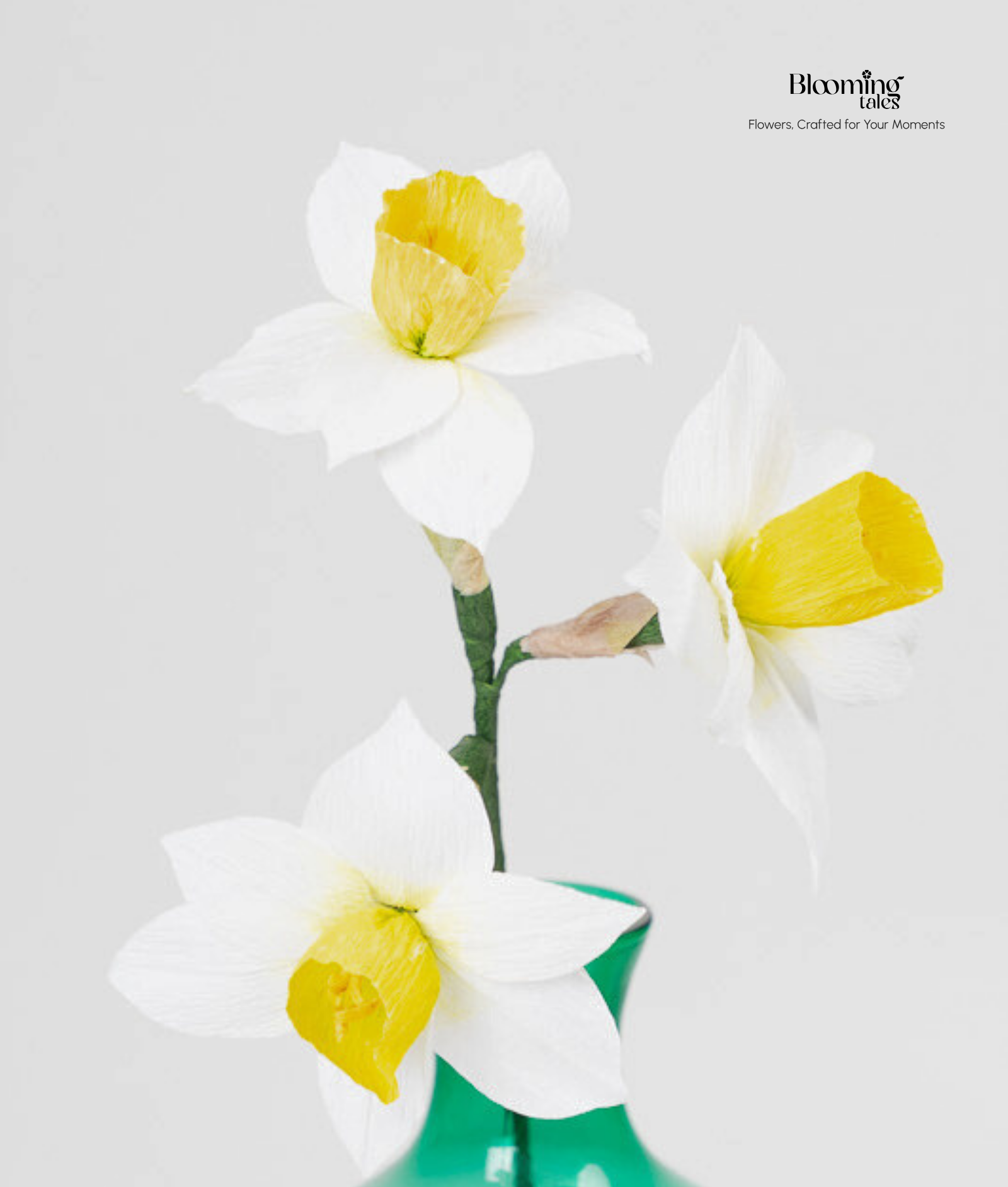 タレントカード narcissus Narcissus