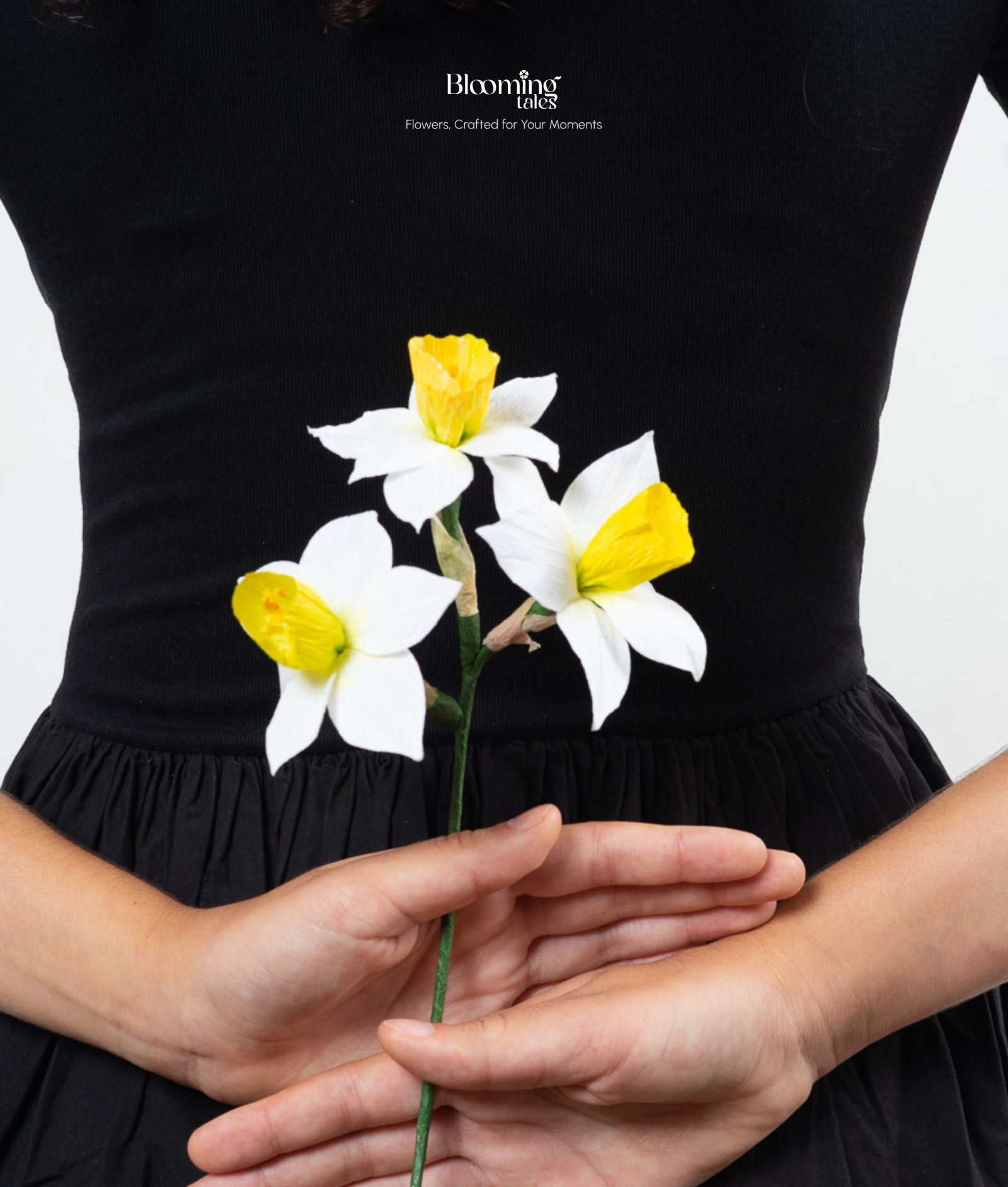 Narcissus