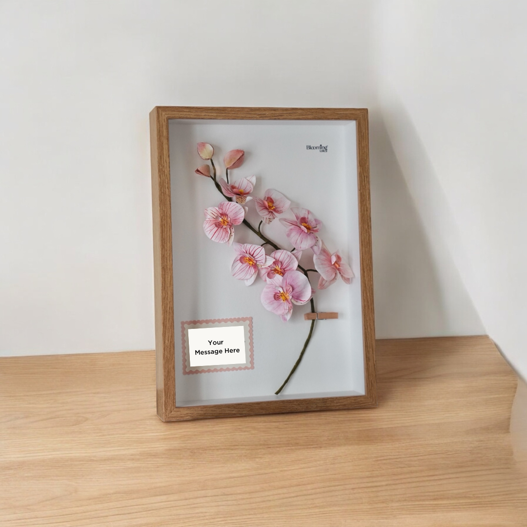 Framed Orchid