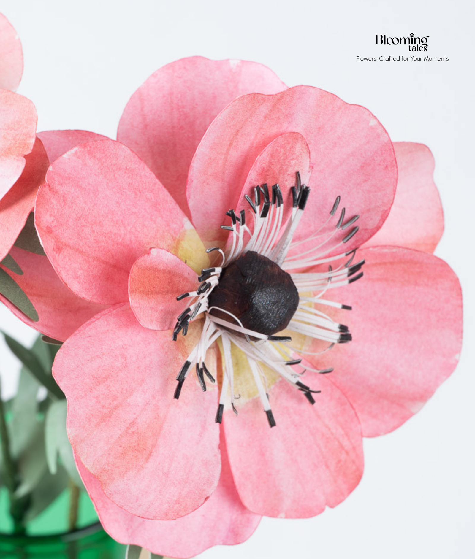 Anemone