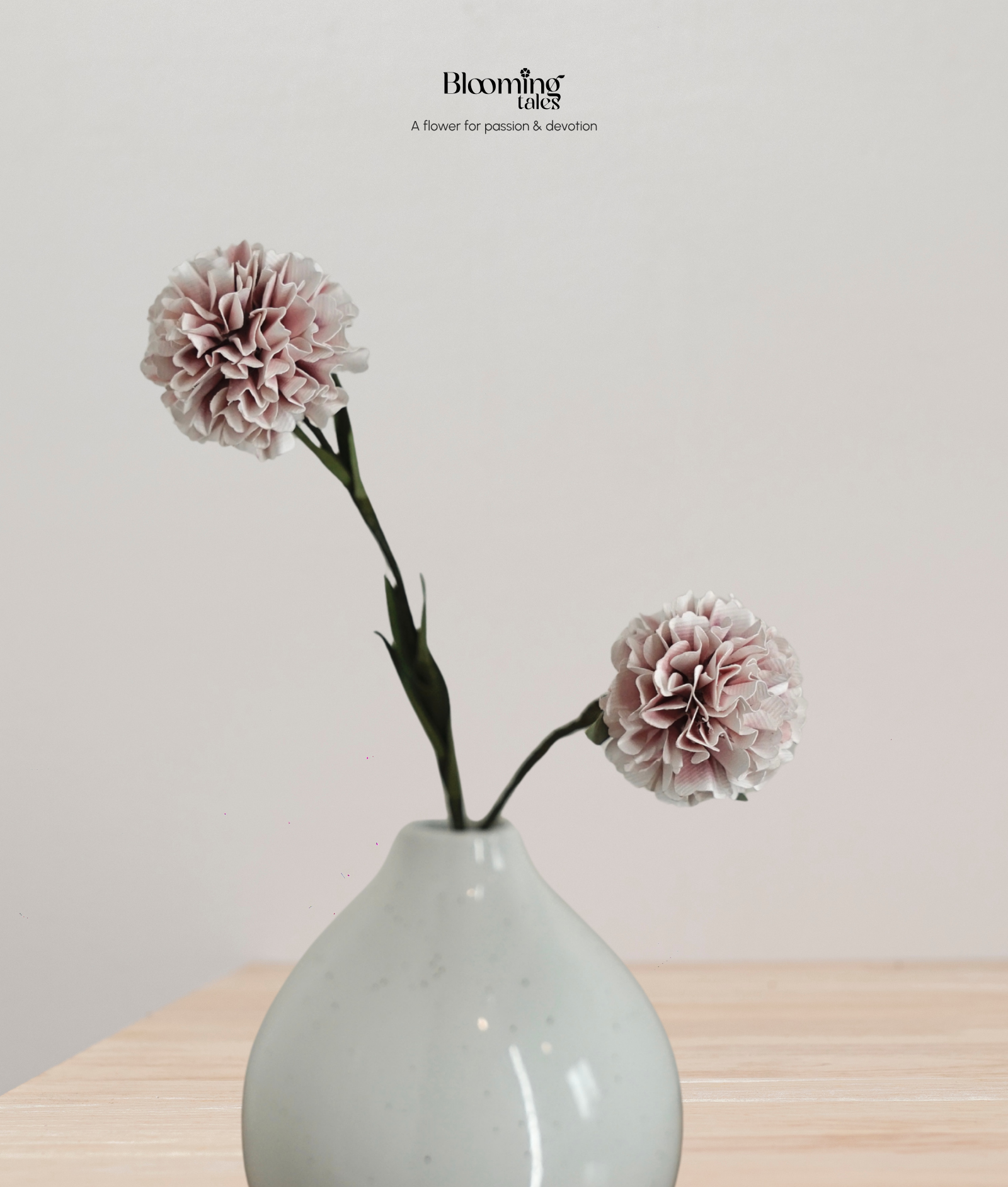 Carnation