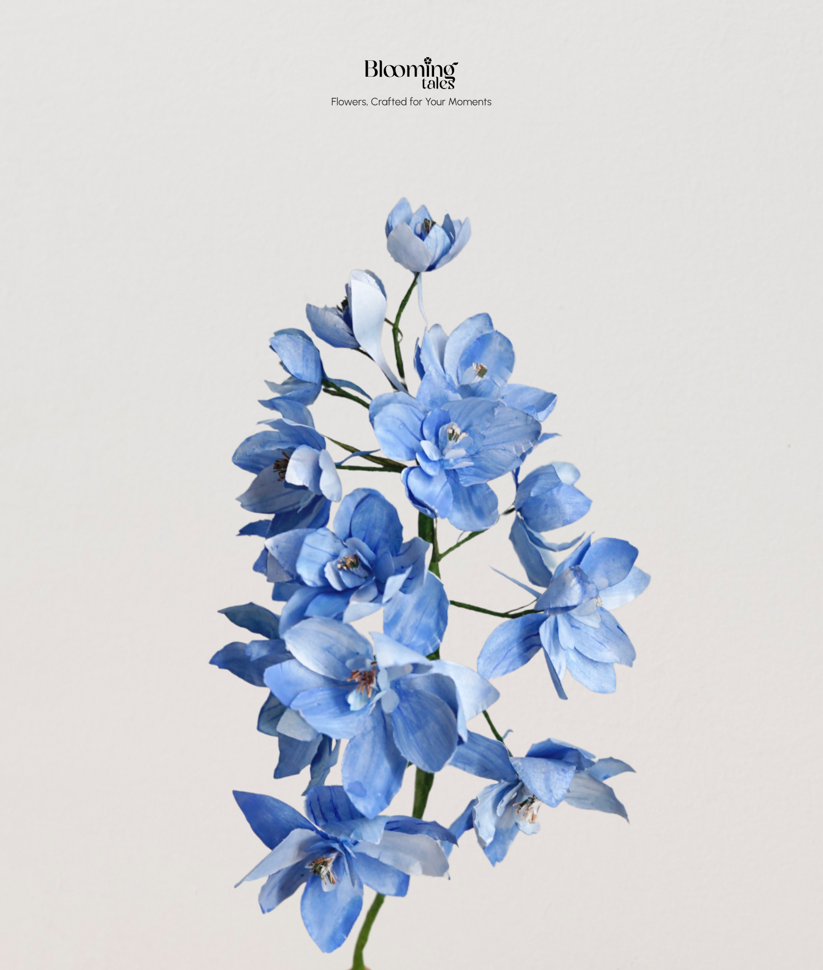 Delphinium