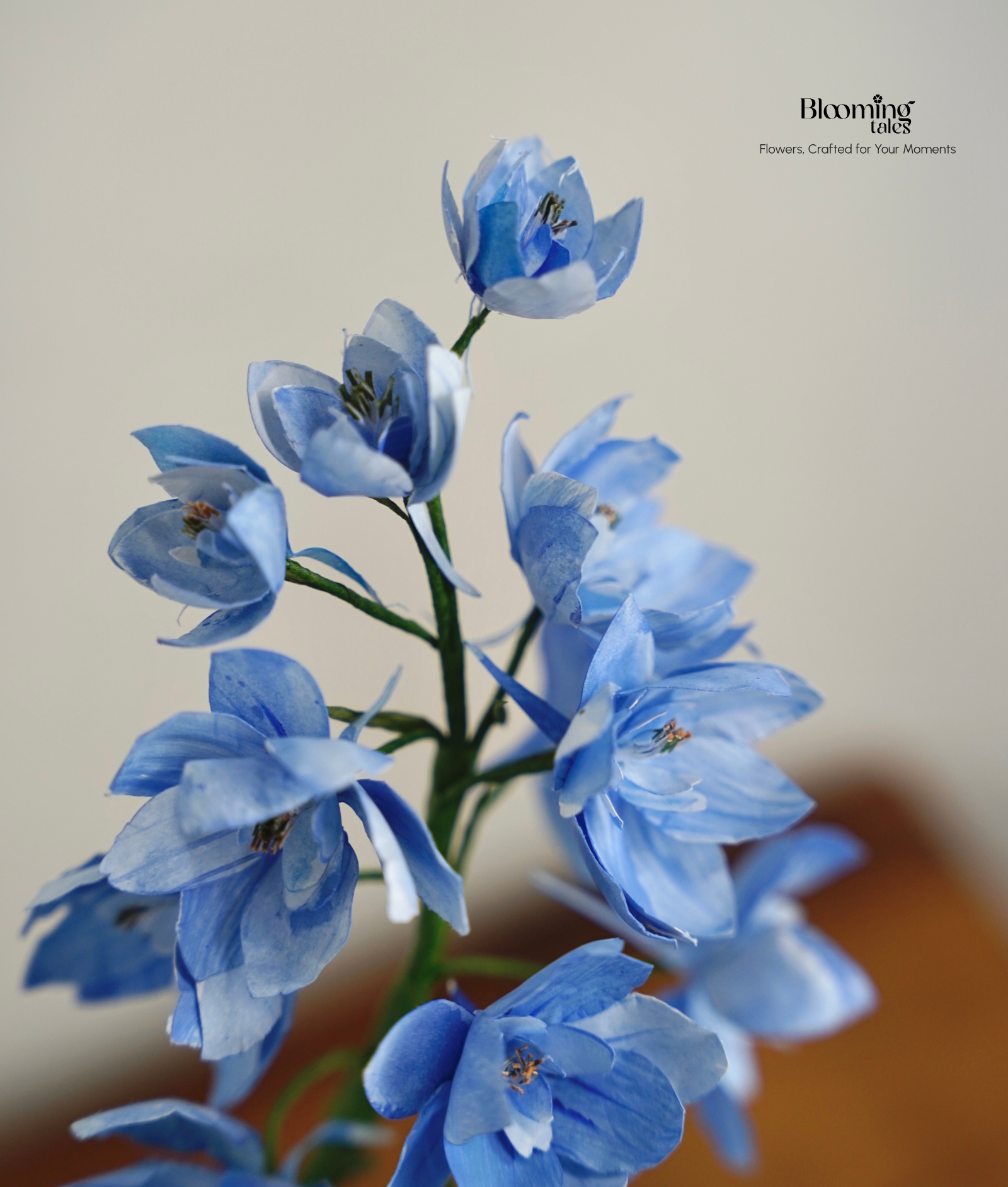 Delphinium