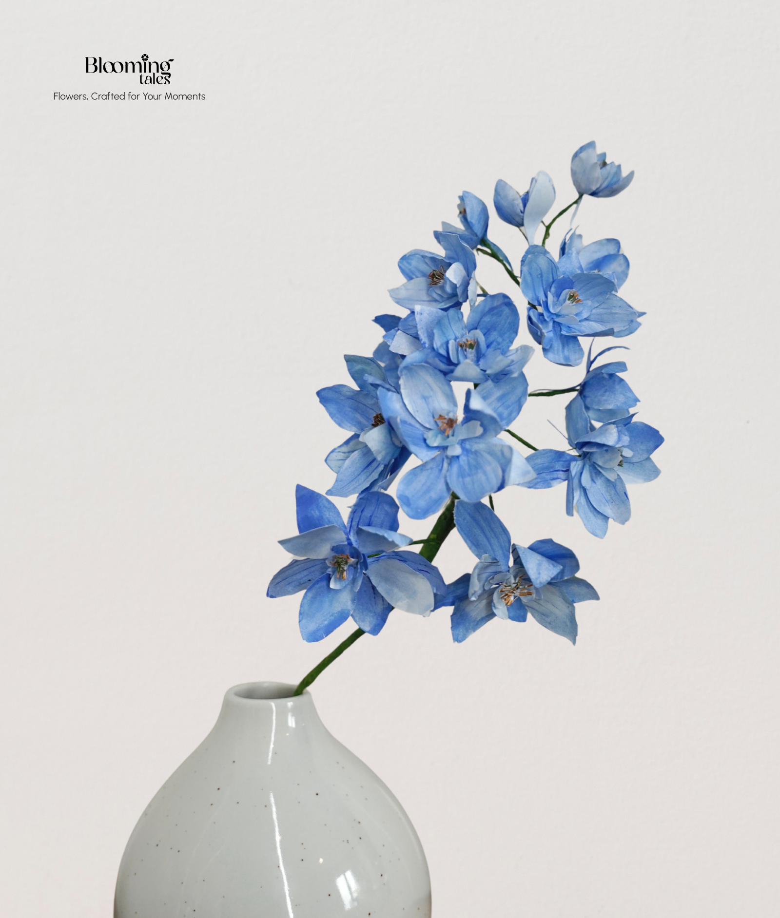 Delphinium