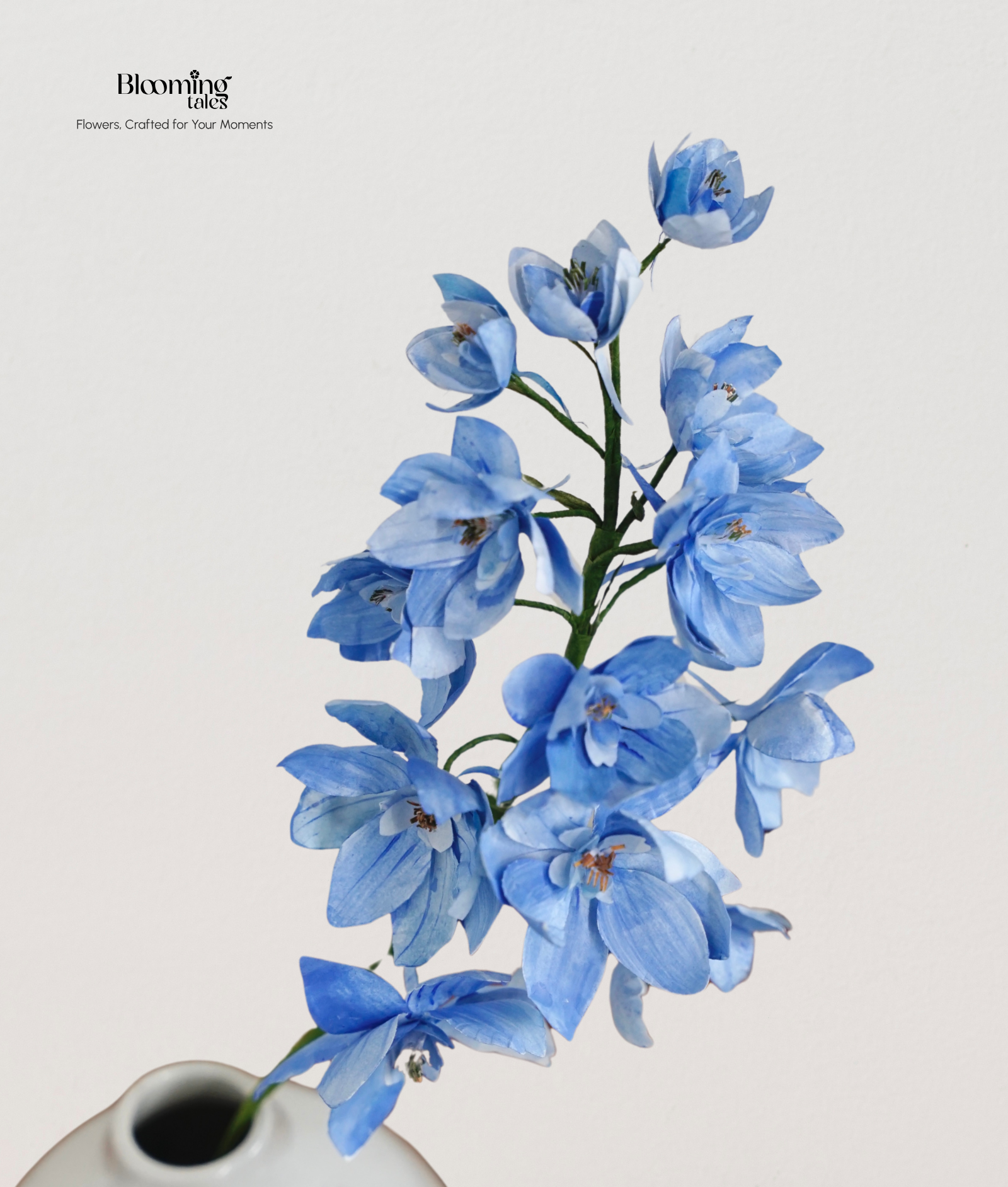 Delphinium