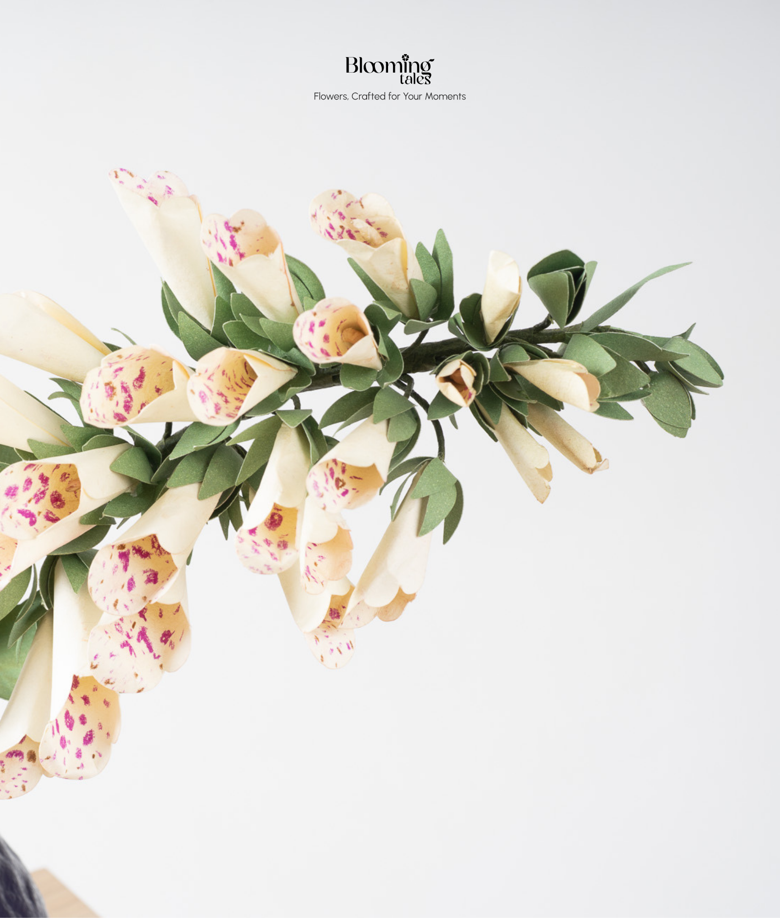 Foxglove