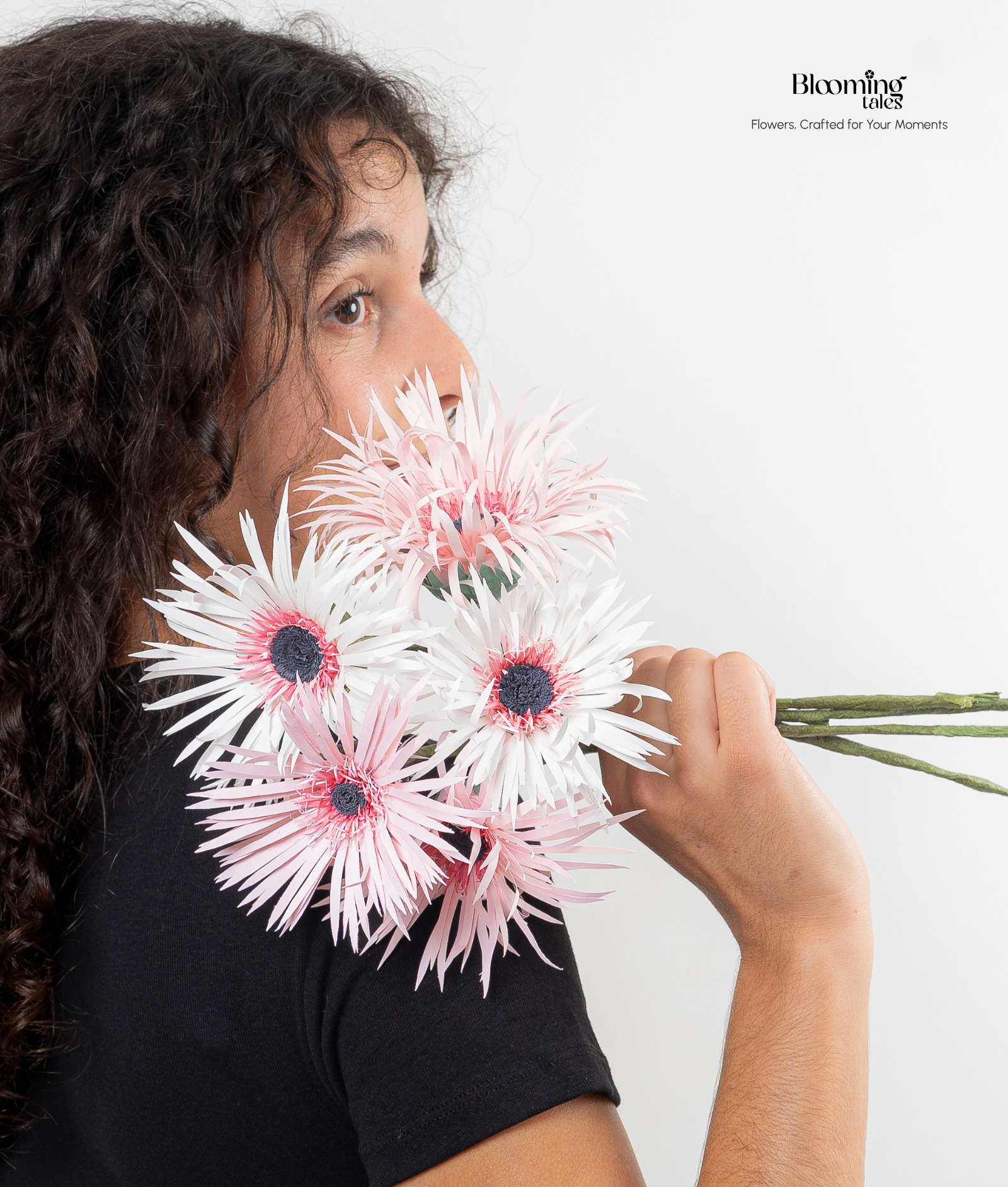 Spider Gerbera