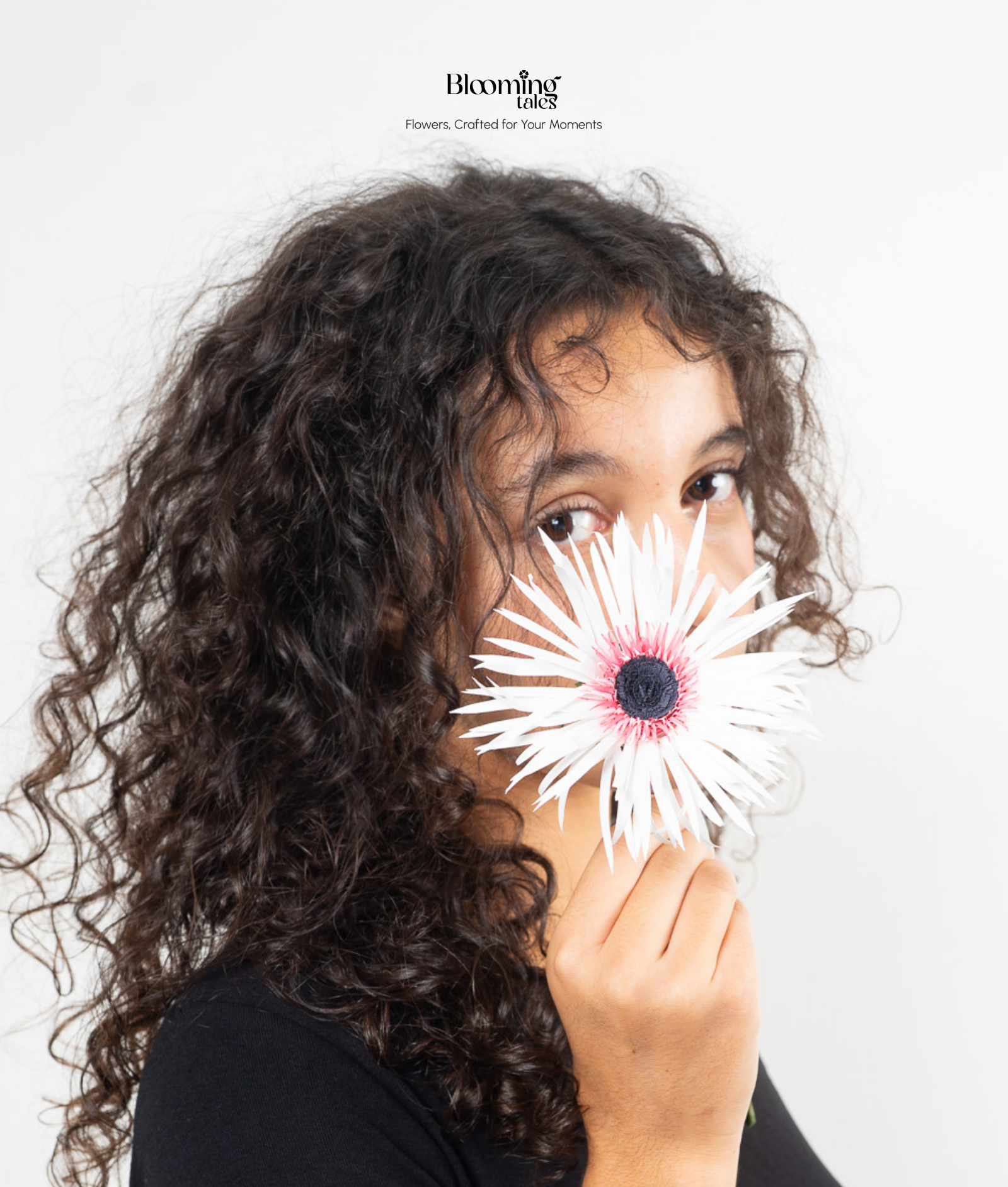 Spider Gerbera