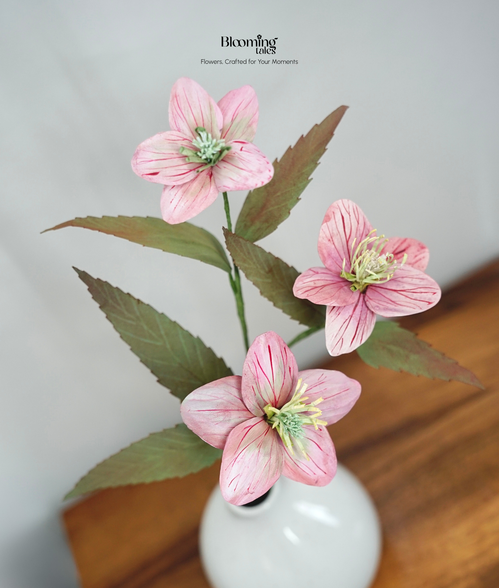 Hellebore