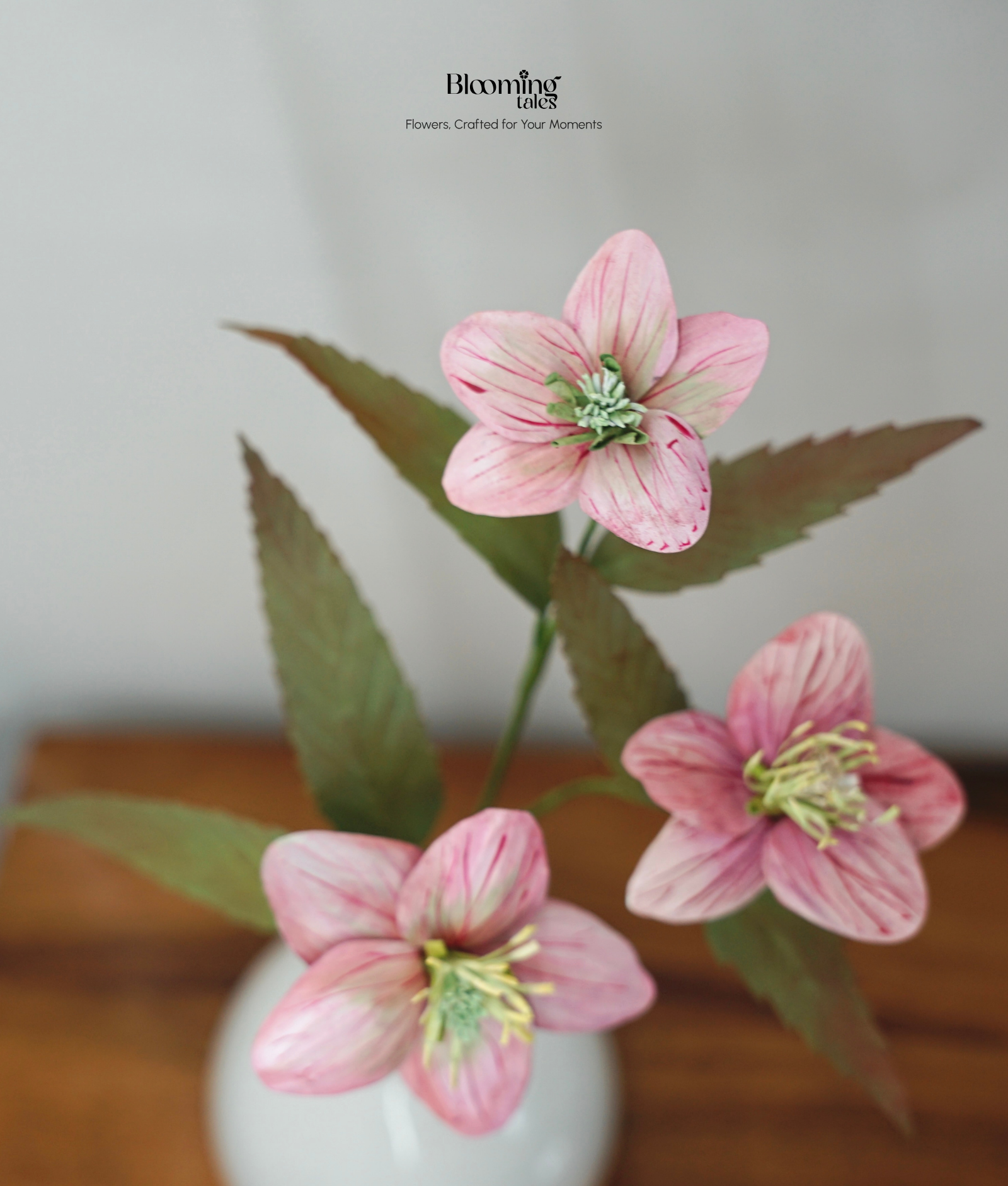 Hellebore