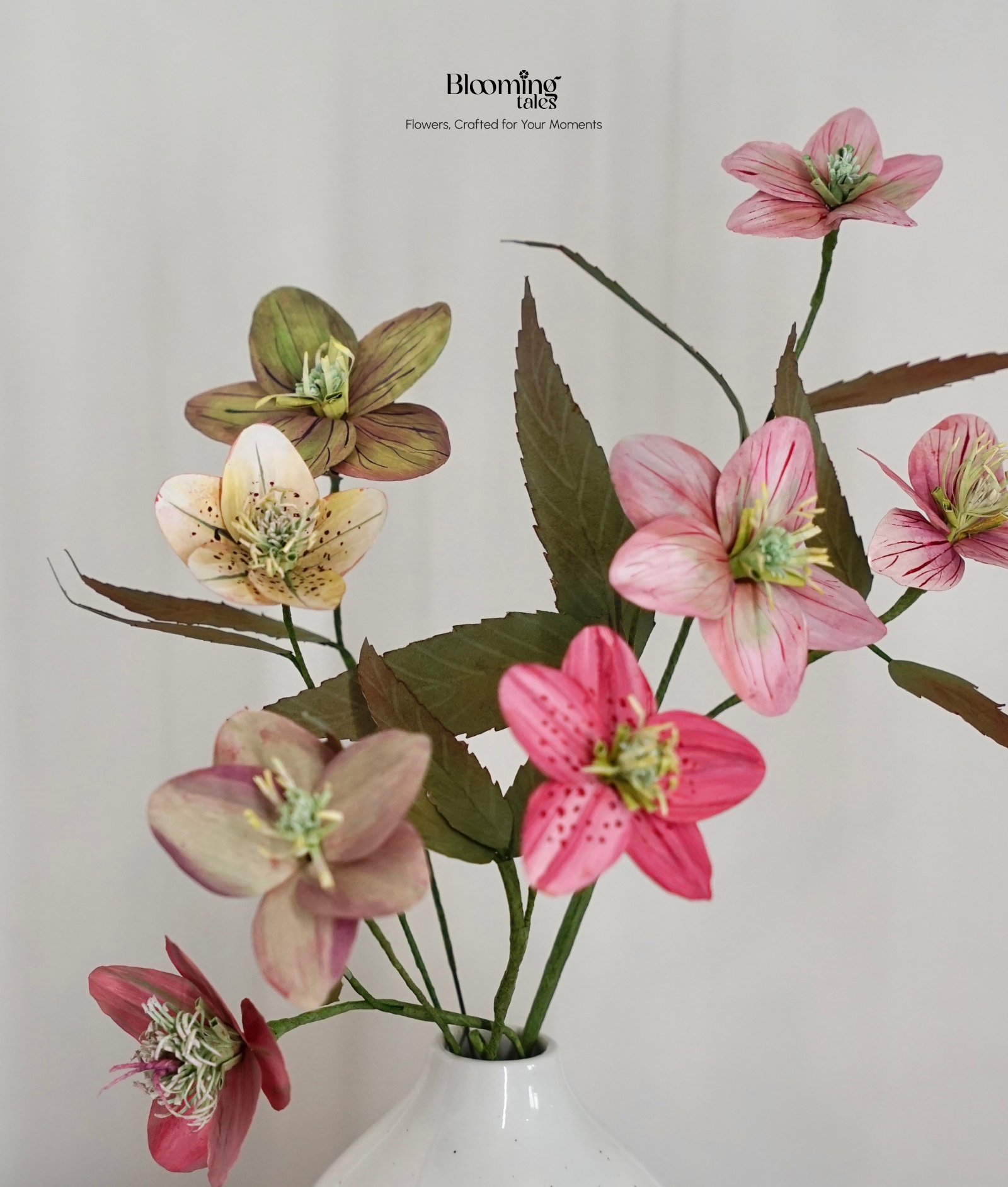 Hellebore