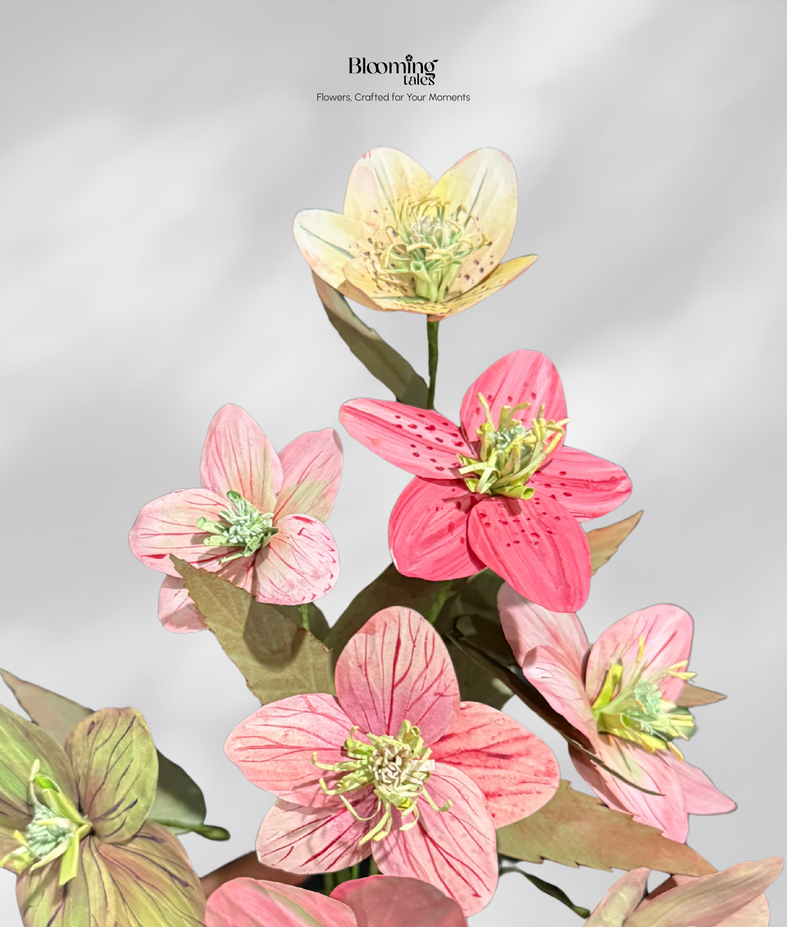 Hellebore