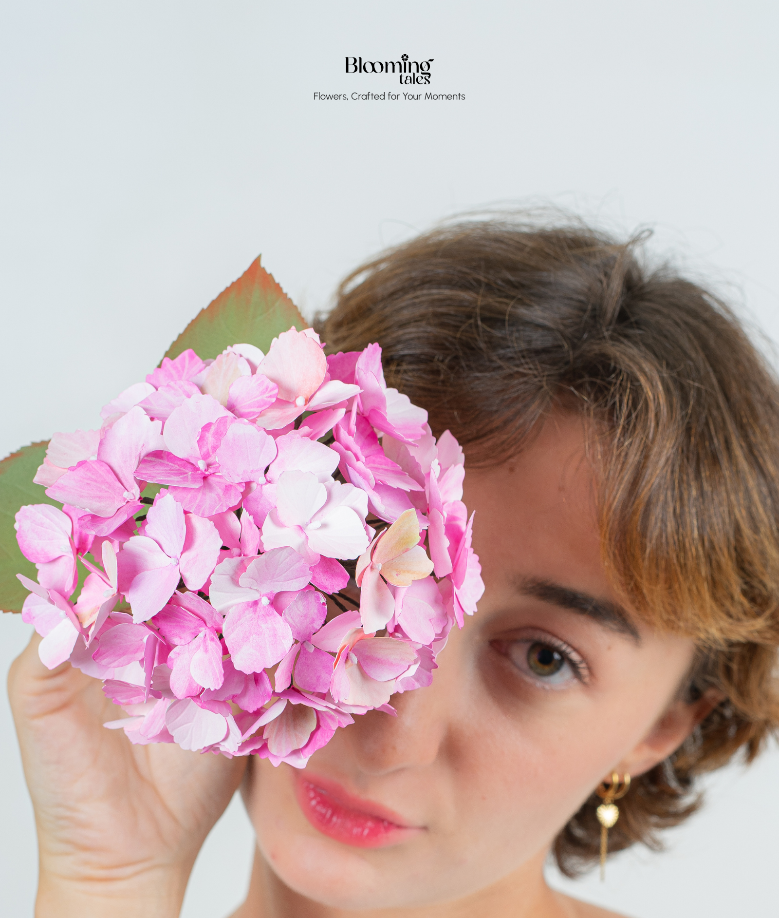 Hydrangea