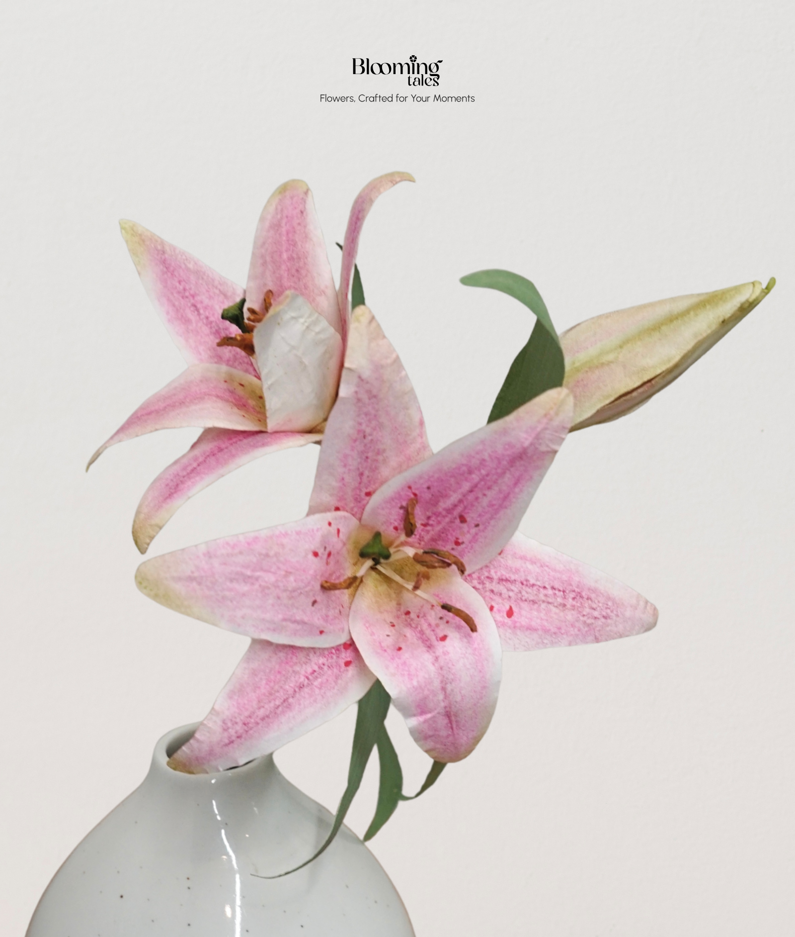 Lily