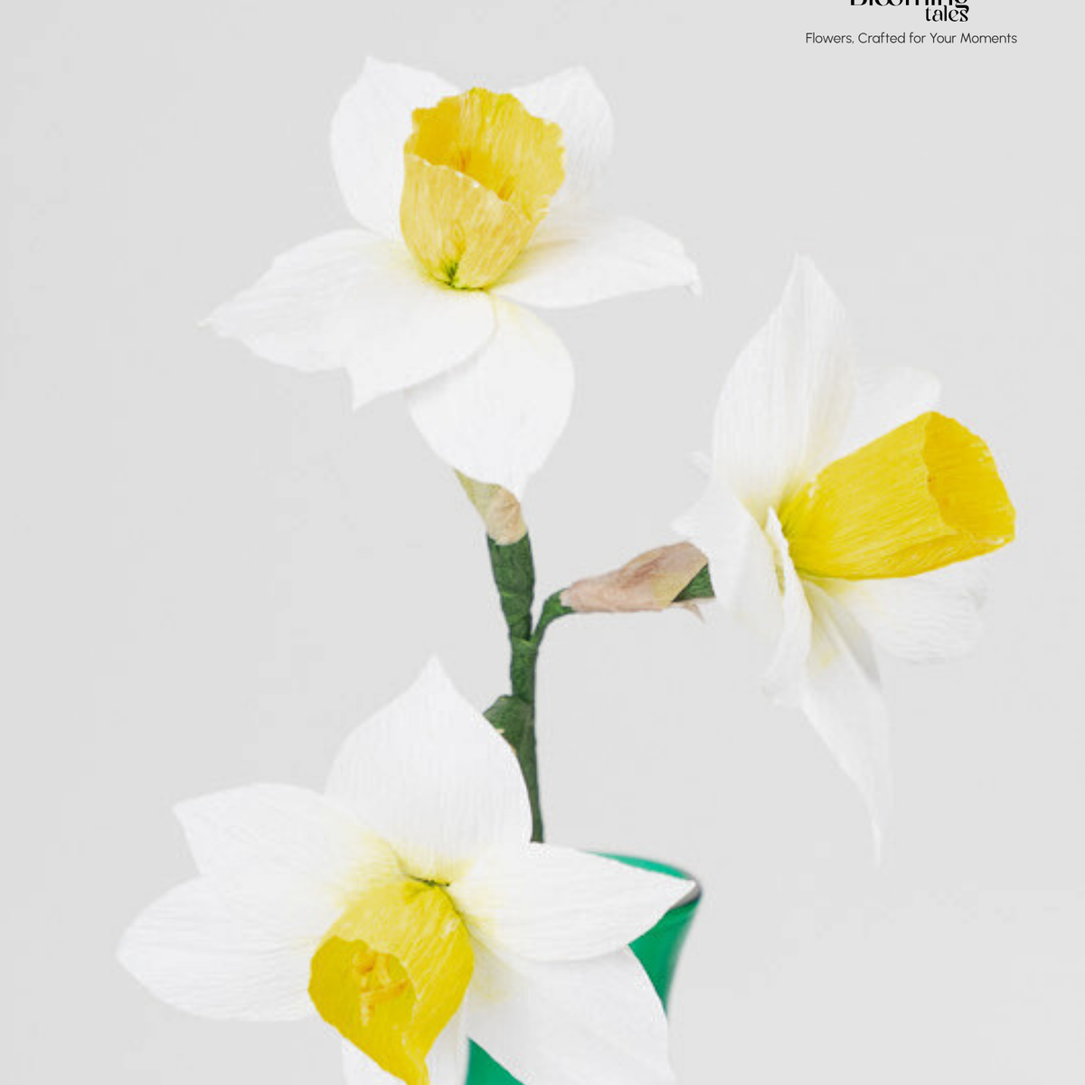 Narcissus