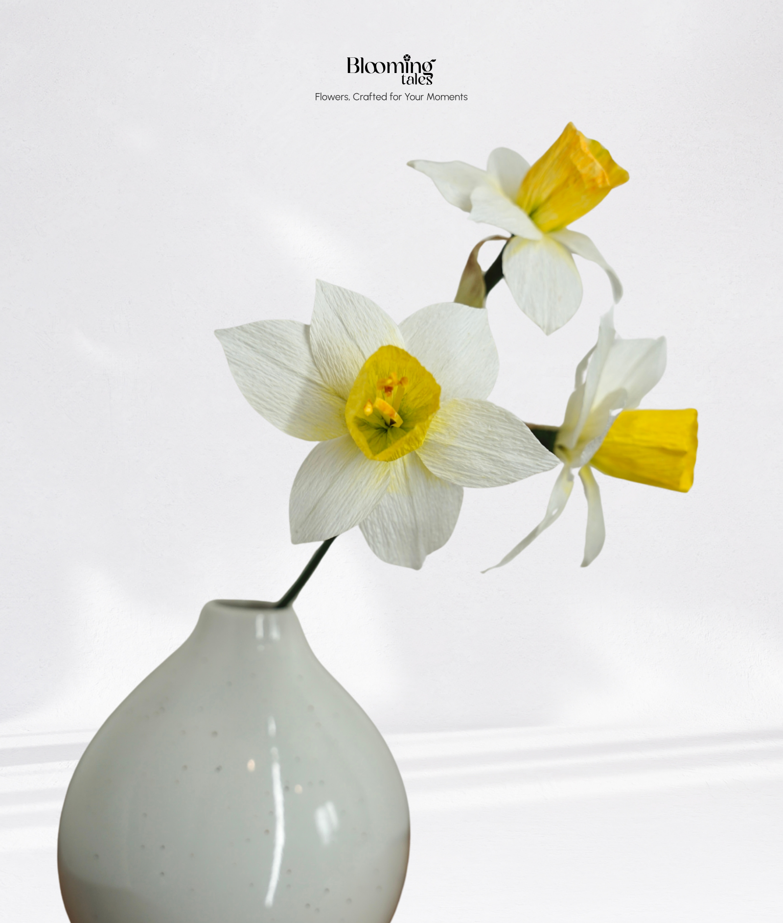 Narcissus