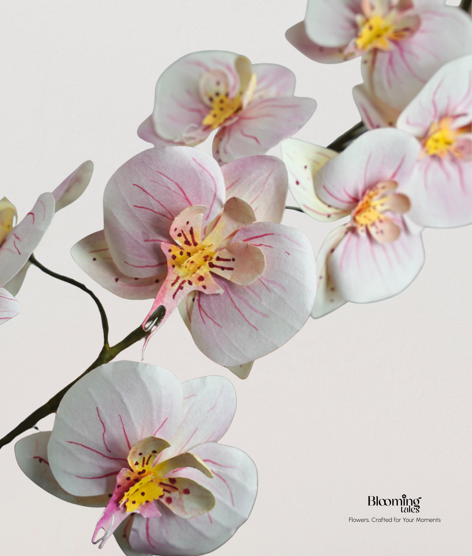 Orchid