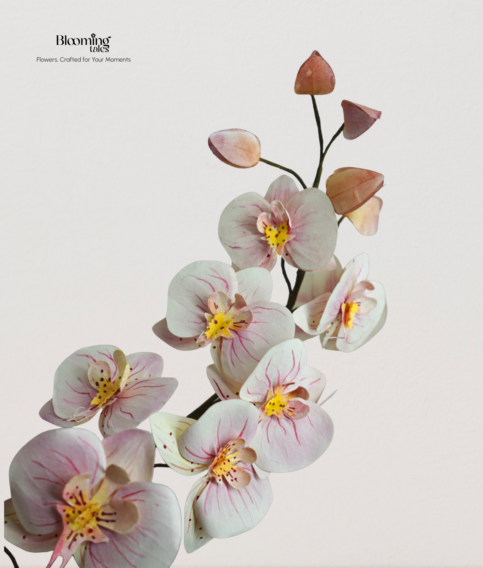 Orchid