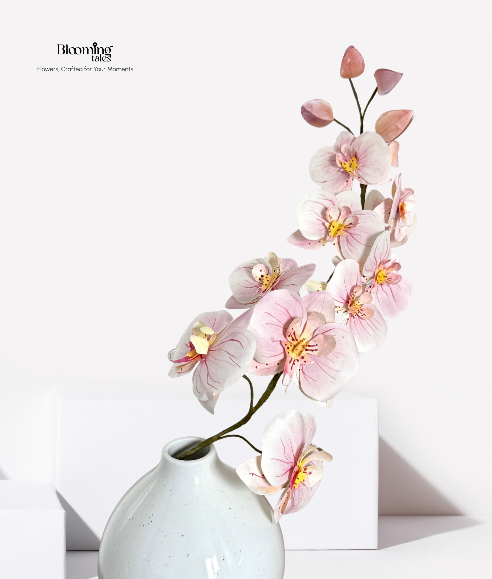 Orchid