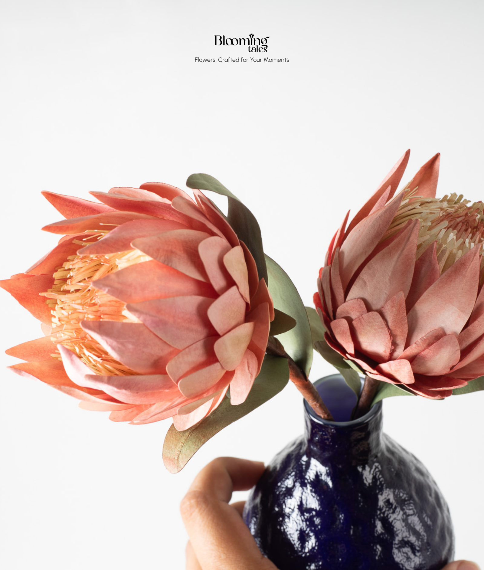 Protea