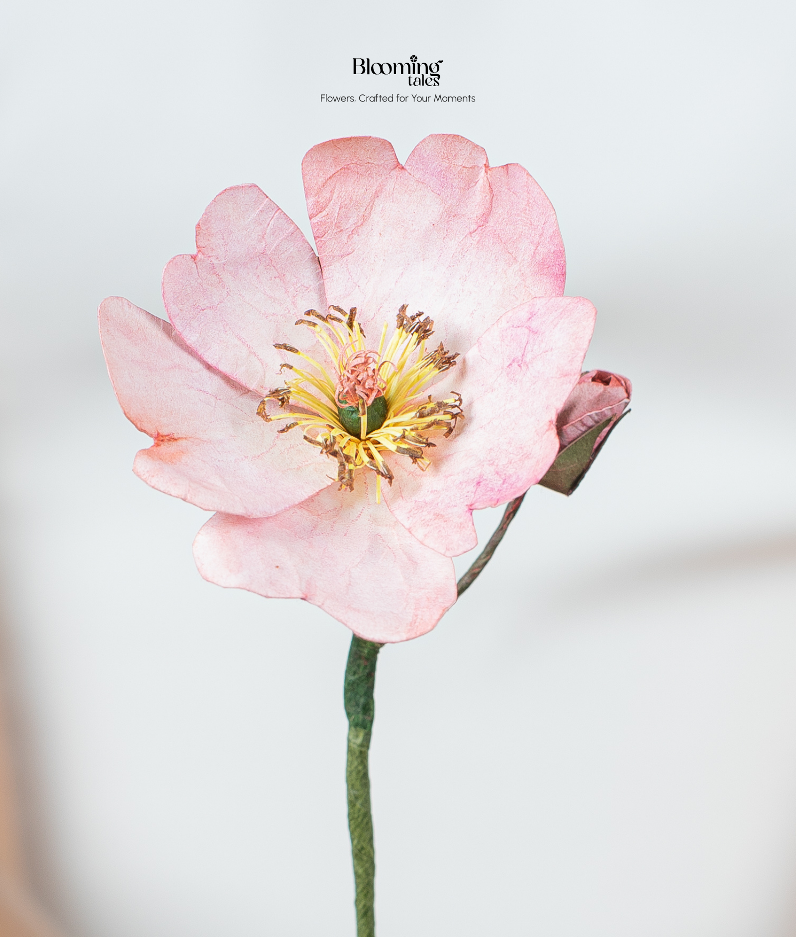 Wild Rose